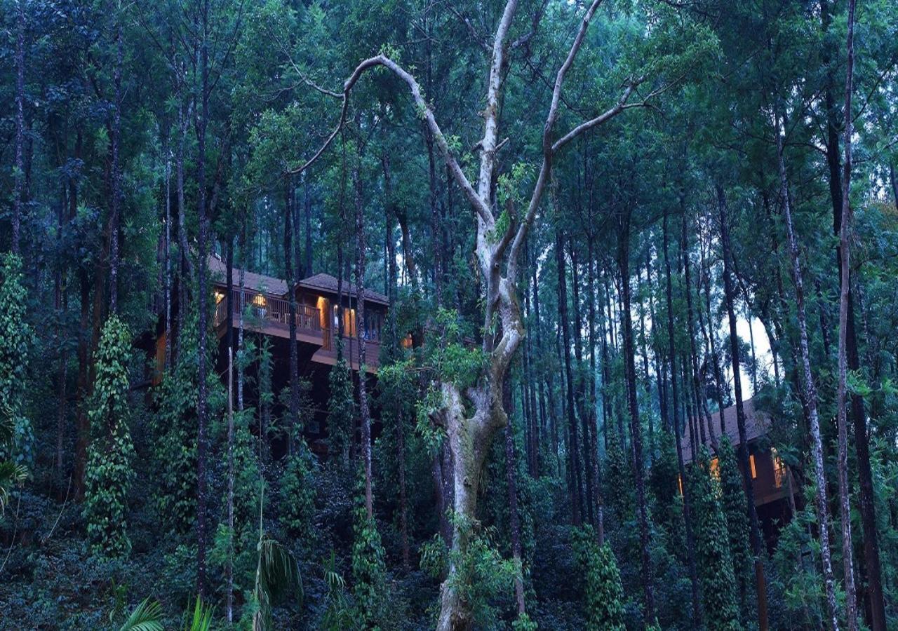 The Tamara Coorg Hotel Kakkabe Exterior foto