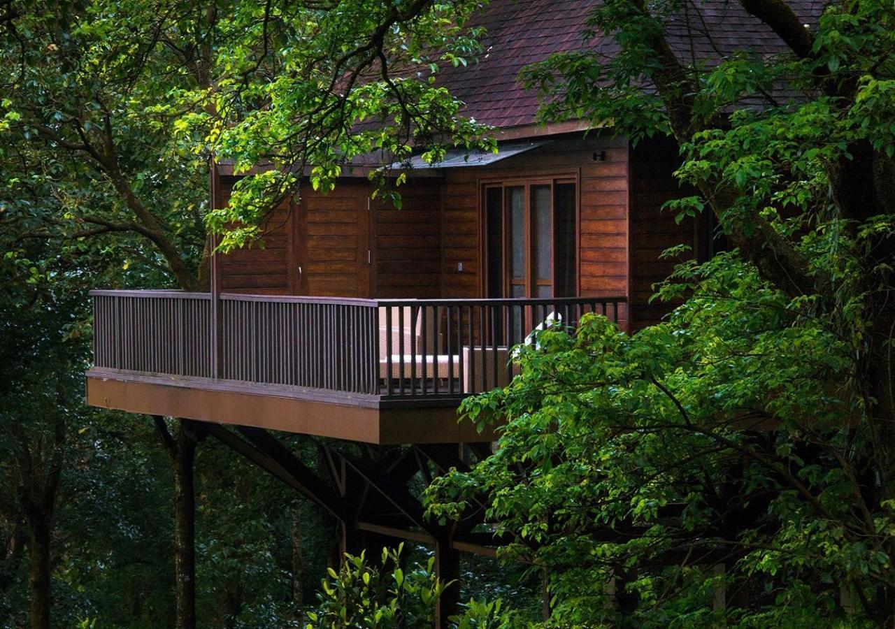The Tamara Coorg Hotel Kakkabe Exterior foto